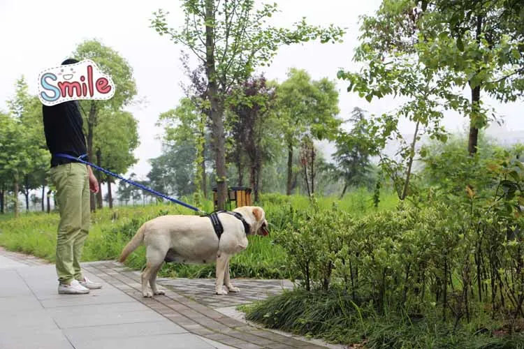 2204333297_114981402