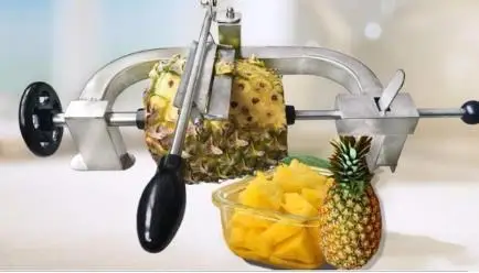 Stainless Steel Pineapple Skin Peeler Pineapple Peeling tool