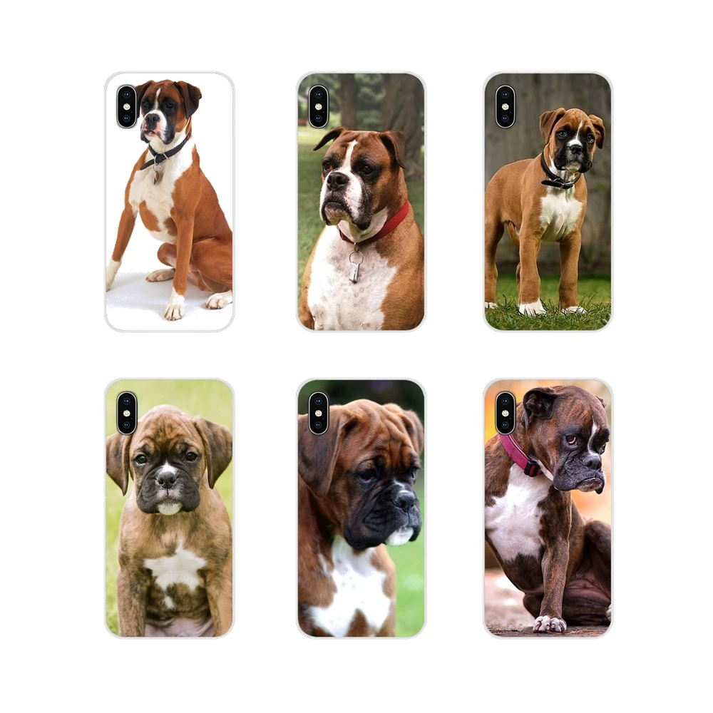 boxer dog accessories