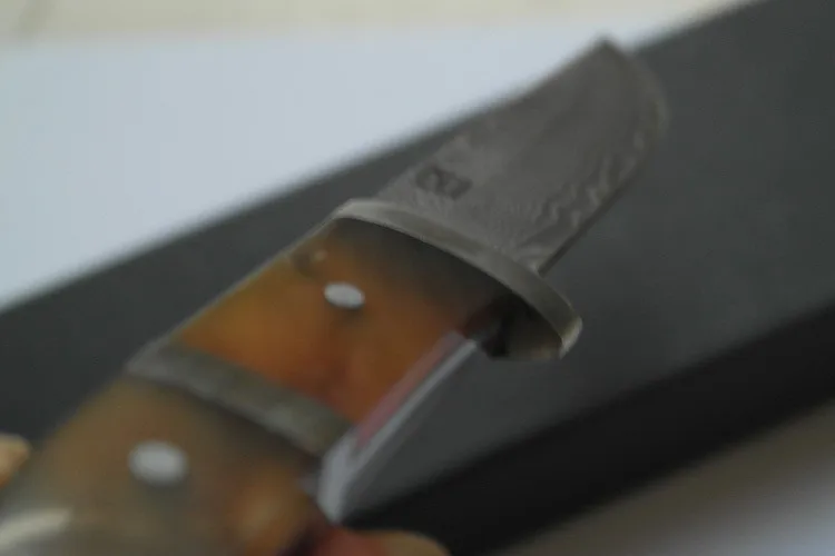 1941885819_742635196