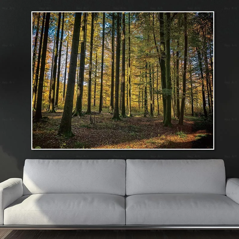 

Wall Pictures for Living Room Sunrise Landscape Canvas Print Forest Painting Frameless Printing Modern Art Poster
