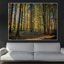 Wall Pictures for Living Room Sunrise Landscape Canvas Print Forest Painting Frameless Printing Modern Art Poster