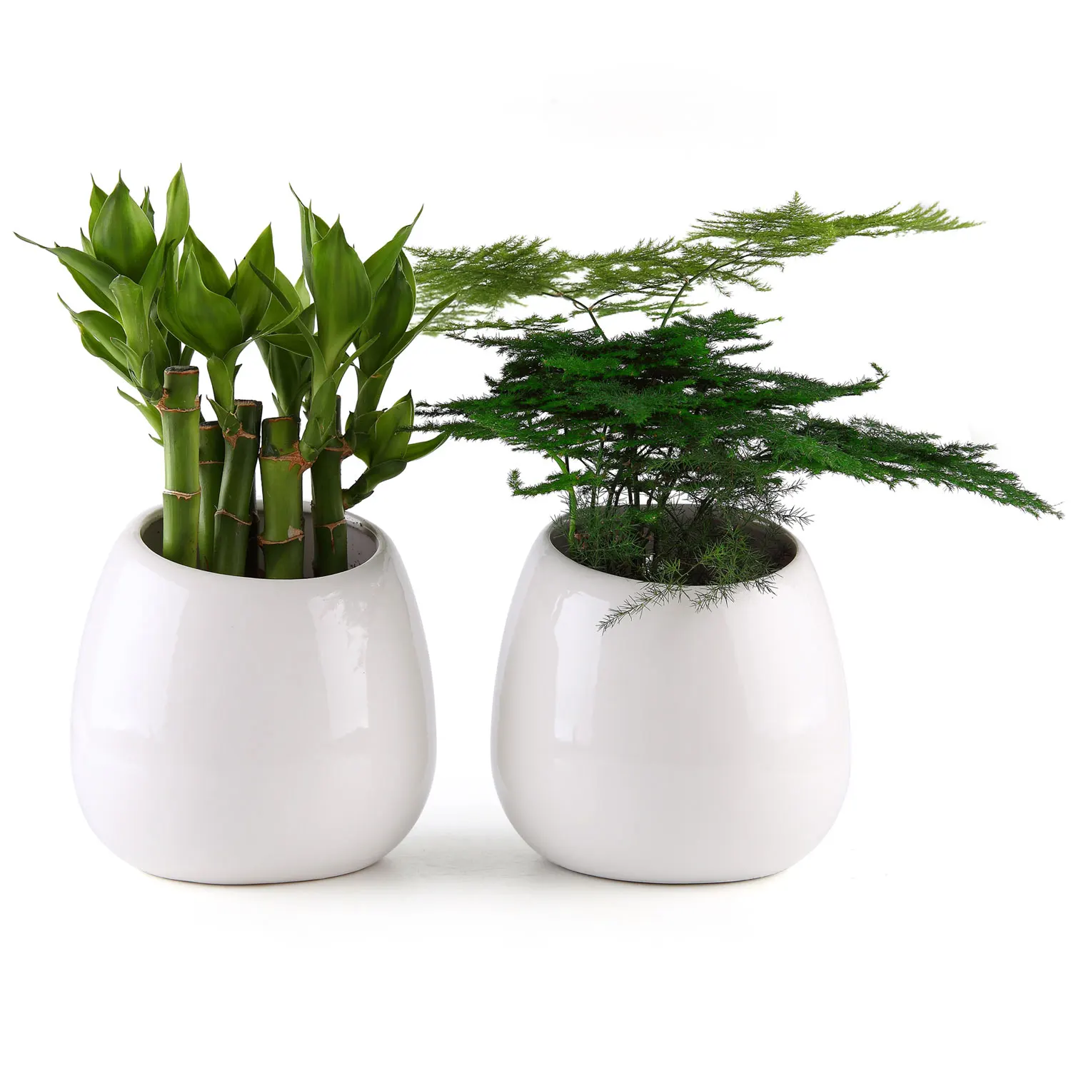 T4U Wall Mounted Succulent Hanging Planter Flower pots