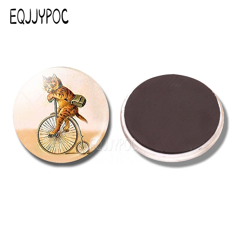 

A Cat That Can Ride a Bicycle 30MM Refrigerator Magnet Cartoon Animals Cat Glass Dome Message Magnets Vintage Home Decoration