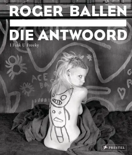 

Die Antwoord Ninja Yolandi Visser Rap rave Group 14 Wall Sticker Home Decoration Silk Art Poster