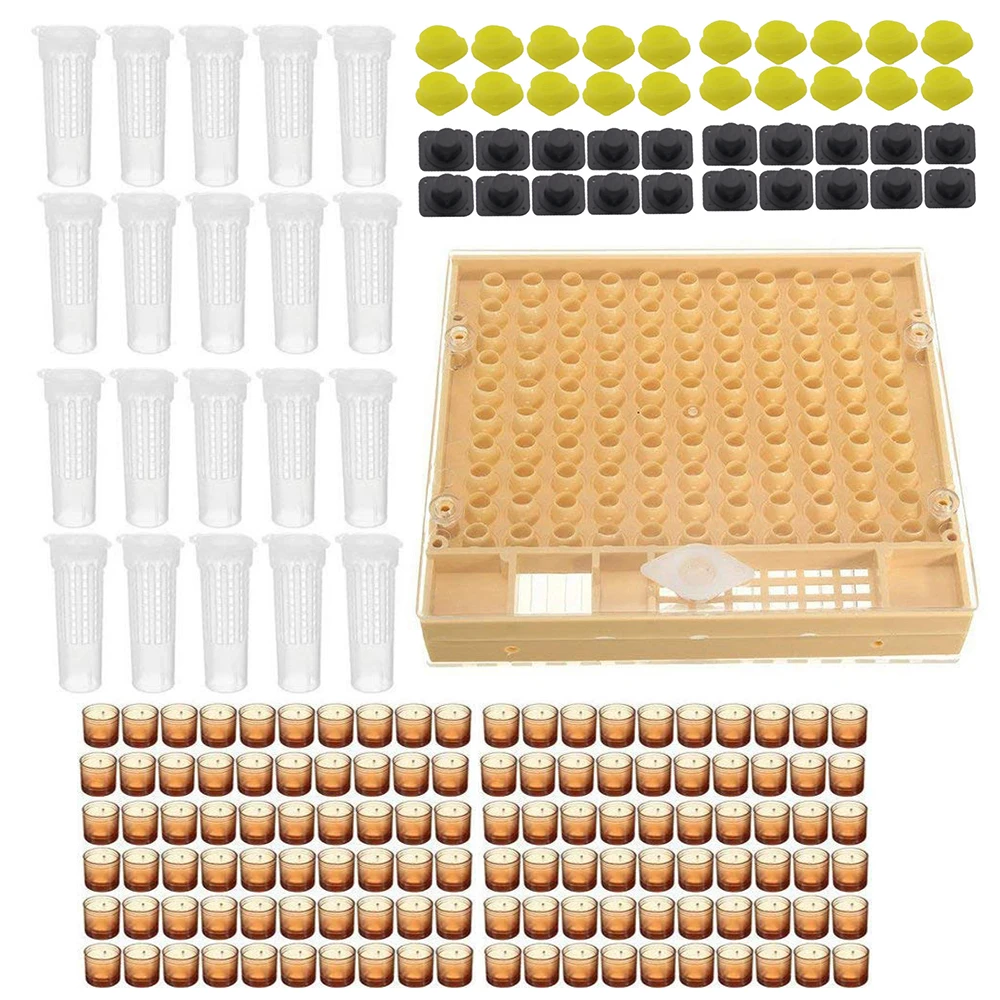 1set bee tools kit queen rearing system complete new cupkit box cells protective cover plastic bees equipment cages supplies