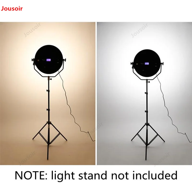 36020190220094353596