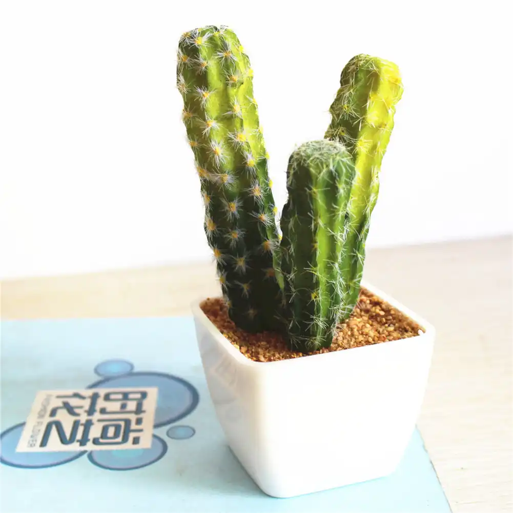 Detail Feedback Questions About Simulation Tropical Plants Cactus Simulation Tropical Plants Cactus Bonsai Innovative Diy Succulents Potted Ornaments Nice Home Decoration 9 Types