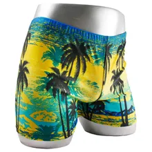 Мужской спортивный костюм кокосовой пальмы быстросохнущая Плавание ming шорты для Для мужчин Плавание одежда Плавание костюм Плавание Мужские Шорты для купания летняя пляжная одежда M13