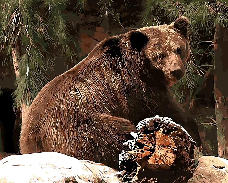 

Bear in the forest DIY Painting By Numbers animal Drawing Painting By Numbers no Frame For Home Wall Decor Artwork