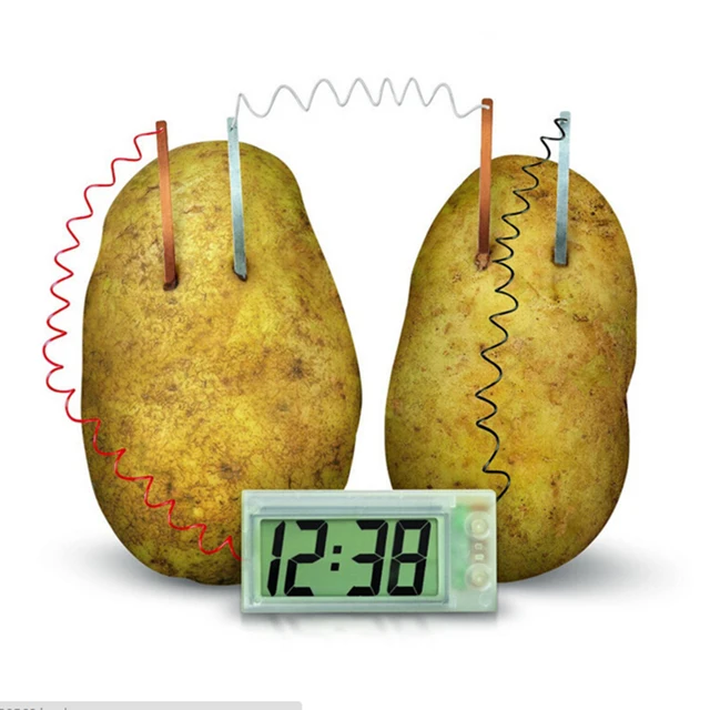 potato lab