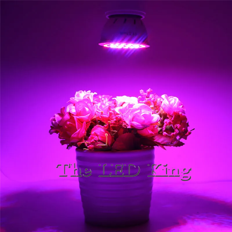 Полный спектр E27 GU10 MR16 светодиодный Grow Light AC220V Светодиодная лампа для роста растений растения, овощи рост 48 60 80 светодиодный