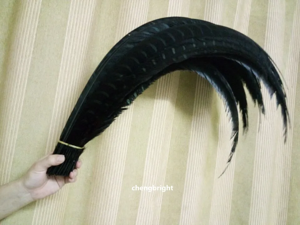 1F14A6152AEEF2F54EC348C98B9654E7_