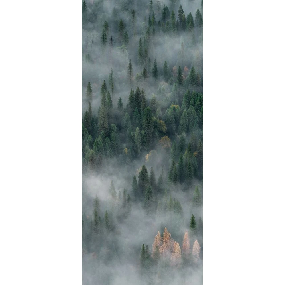 Forest In Fog Mural Sickers Door Sticker Wallpaper Decals Home Decoration Sep027139 | Дом и сад
