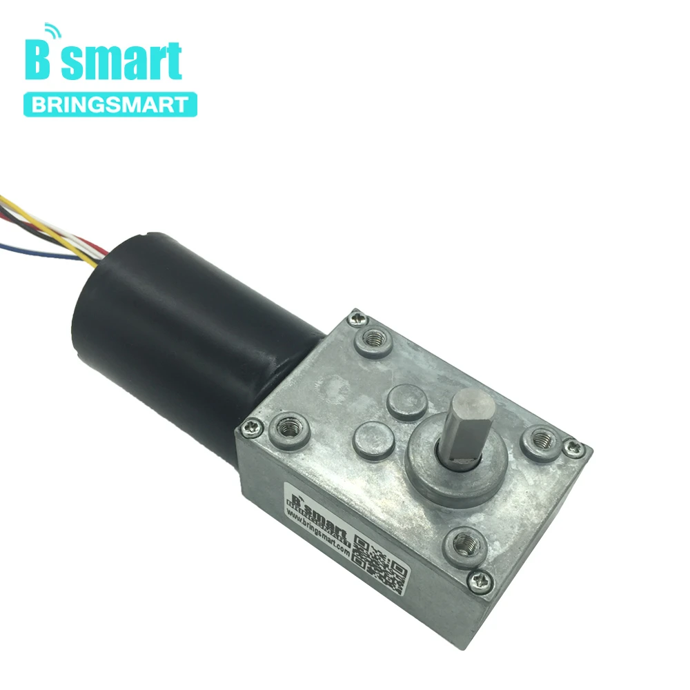 Bringsmart 브러시리스 DC 웜 기어 모터, BLDC 자동 잠금 제동 기어 박스, 맞춤형 전기 모터, 5840-3650, 12V, 24V, 8-470rpm