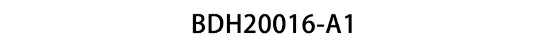 BDH20016