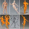 Figma Anime archétype He She Kun Chan mobile corps poupée figurine à collectionner articulations mâle femelle Ferrite 14.5cm ► Photo 1/6