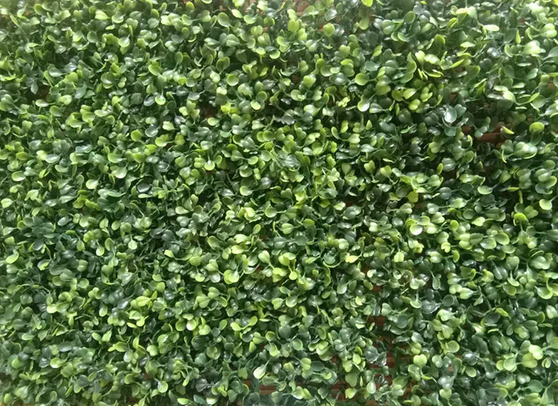 

16''x24'' Artificial Plants Wall Boxwood Hedge Mat, UV Protection High Density Greenery Panels