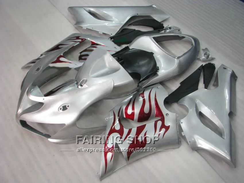zx6r05-491
