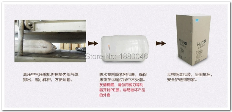FHDCMEMFMS00202