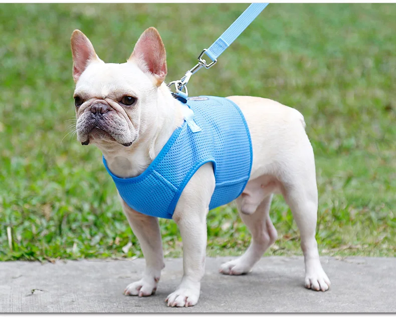 Dog Harness (10)