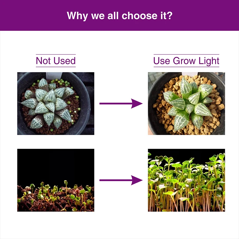  Led Grow COB Lights Full Spectrum Plant Lamp 30W 50W 100W AC220V Outdoor Floodlight IP66 For Growth - 32911761399
