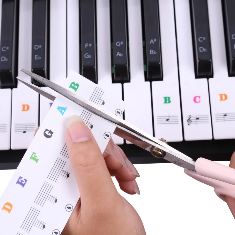 

Piano Transparent Sticker 61/54/49 for Keys Hand Roll Piano Keyboard Key Sticker Notation Stave Sticker