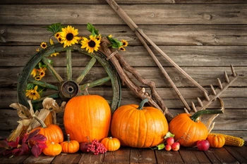 

HUAYI Background Halloween Backdrop Art Fabric Newborn Backdrop Photography Prop Photo Background XT-4311