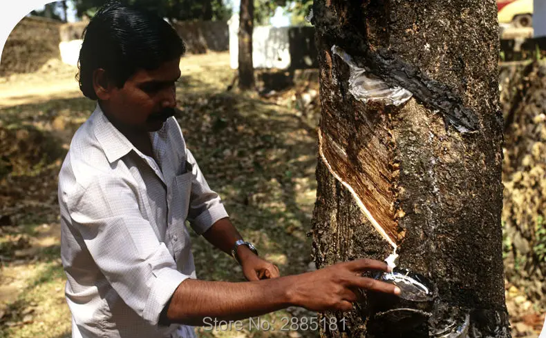 Massage-Latex-Pillows-790-01_04