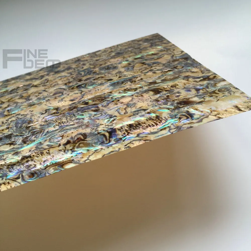 FD6003 paua meat 8