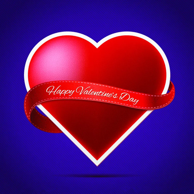 

SHANNY Vinyl Custom  Photography Backdrops Studio Props  Valentine day Theme Backgrounds EPV-27