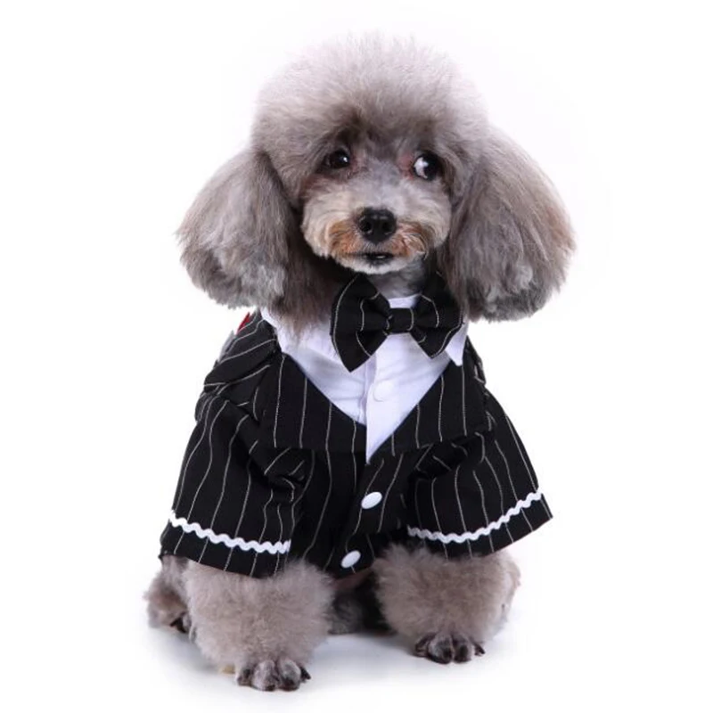 Pet Dog Clothes Cat Prince Wedding Suit Cute Gentleman Cachorro Mascotas Chihuahua Tuxedo Bow Tie Puppy Coat Pets Supplies