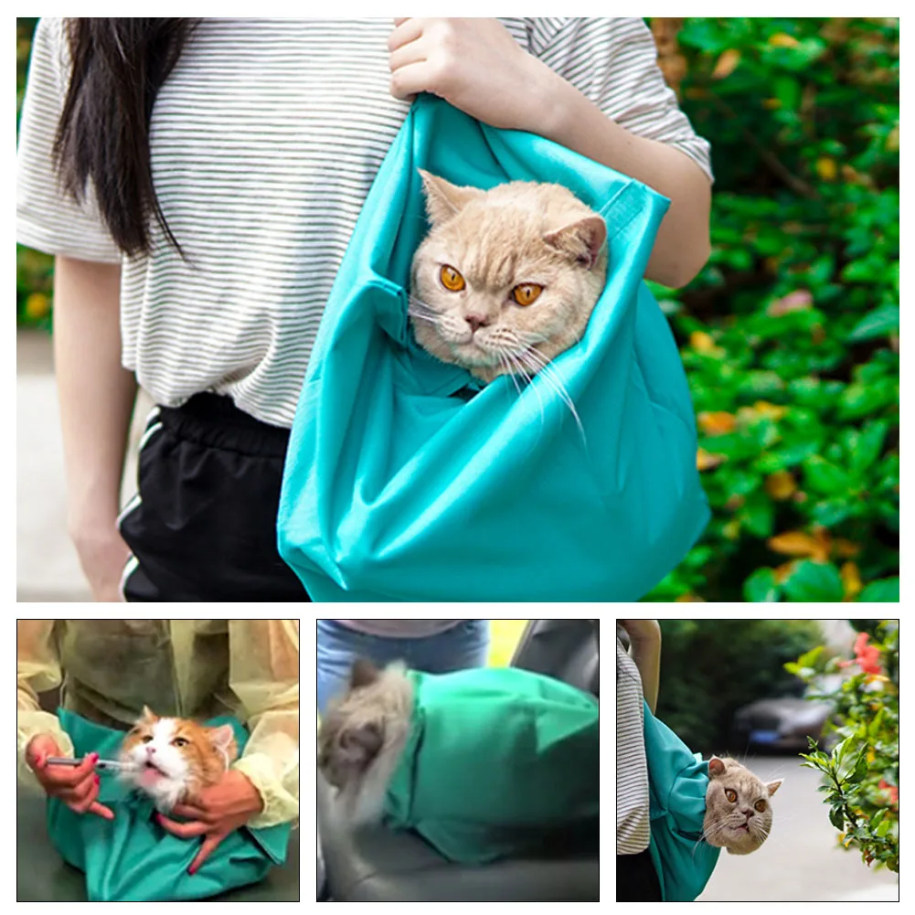 Transportador de cães