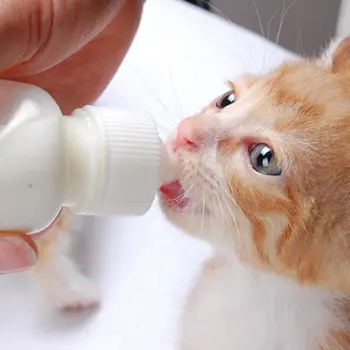 

2018 Creative New 50ml Baby Dog Cat Water Bottle Kitten Feeding Bottles Dog Feeder With Brush Plastic Puppy Nursing Milk Bottle