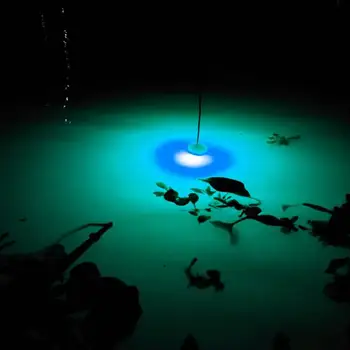 

New LED Flashing Mini Underwater Deep Drop Squid Fishing Lure Fish Light Green Lamp Underwater fish light Fishing Tool