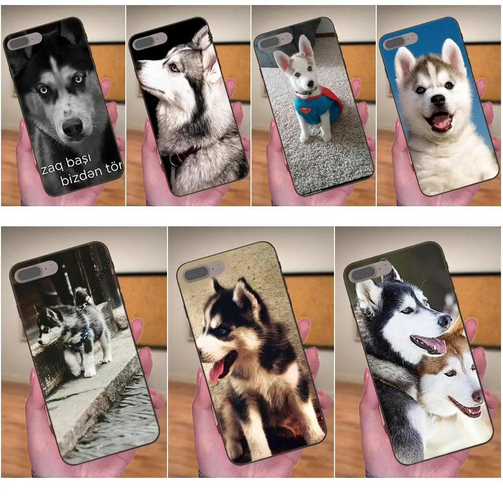 

For Galaxy C5 C7 J1 J2 J3 J330 J5 J6 J7 J730 2017 Ace Core Duo Max Mini Plus Prime Pro TPU Cover Animal Husky Puppy Dogs