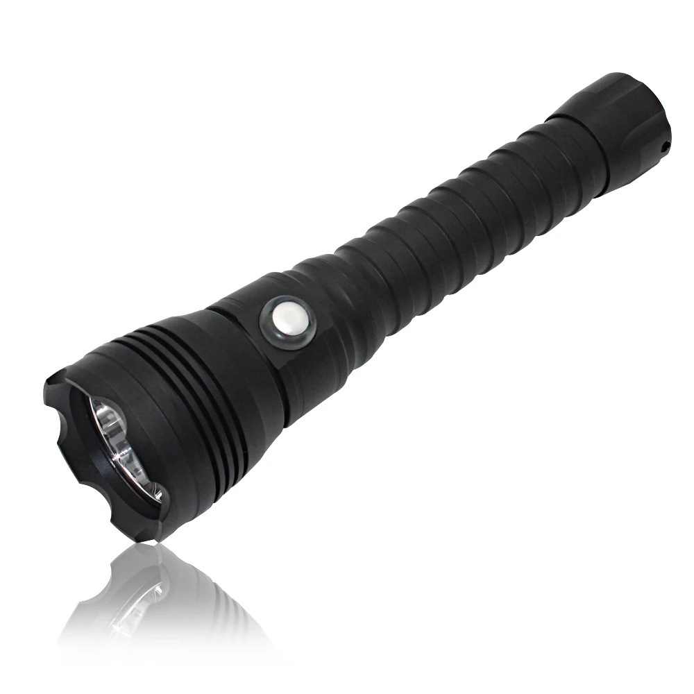 torch (5)