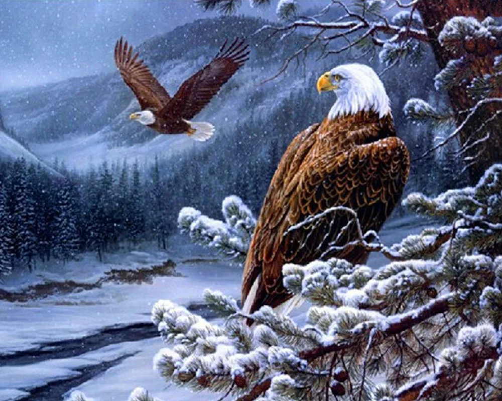 

5D DIY diamond embroidery eagle in the sky diamond painting Cross Stitch full square Rhinestone mosaic home decoration
