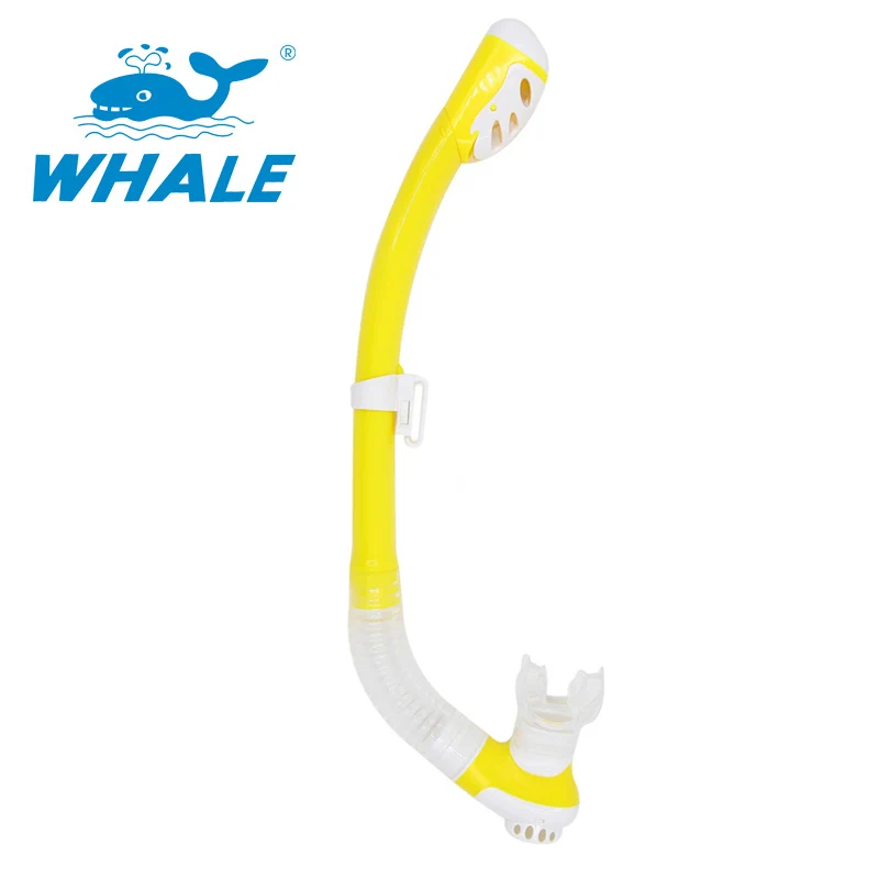 HTB1PiOMBY5YBuNjSspoq6zeNFXa2