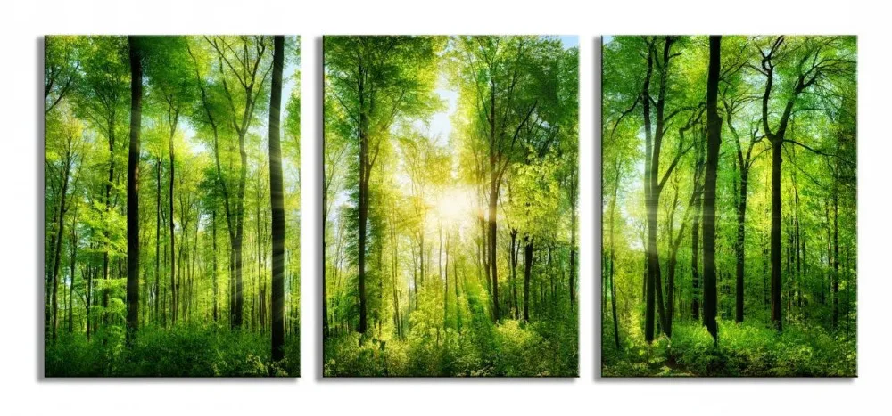 

3 Panels Morning Sunrise Green Trees Landscape Sunshine Over Forest Photograph Printed on Canvas Wall Art Drop shipping