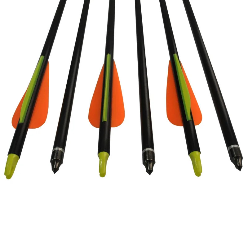 12Pcs Archery Fiberglass Arrows Steel Removable Point Plastic Nocks for