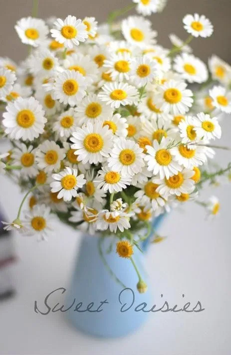 daisy fresh flower earrings (3)