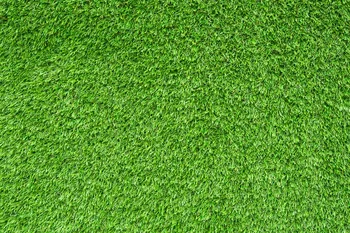 

Artificial fake green grass Background Vinyl cloth High quality Computer print wall photo backdrop