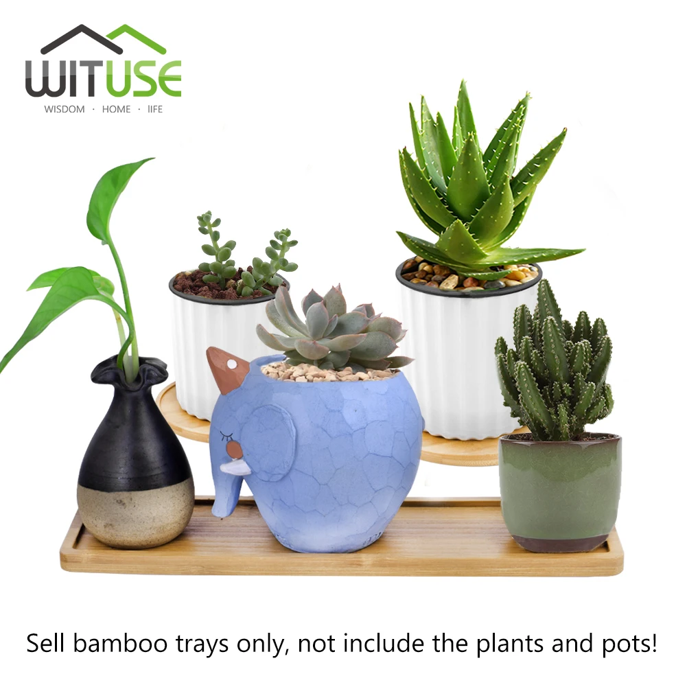 Detail Feedback Questions About 6pcs Lots Stand Tray Square Round Detail Feedback Questions About 6pcs Lots Stand Tray Square Round Oval Flower Bonsai Planter Pots Garden Supplies Gardening Desktop Bamboo