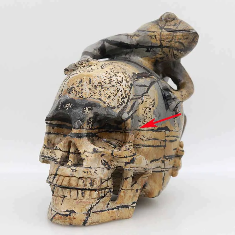 

6" 1553g,PICTURE STONE Carved Frog Crystal Skull Crystal Realistic Healing Furnishing Articles Figurine AU25
