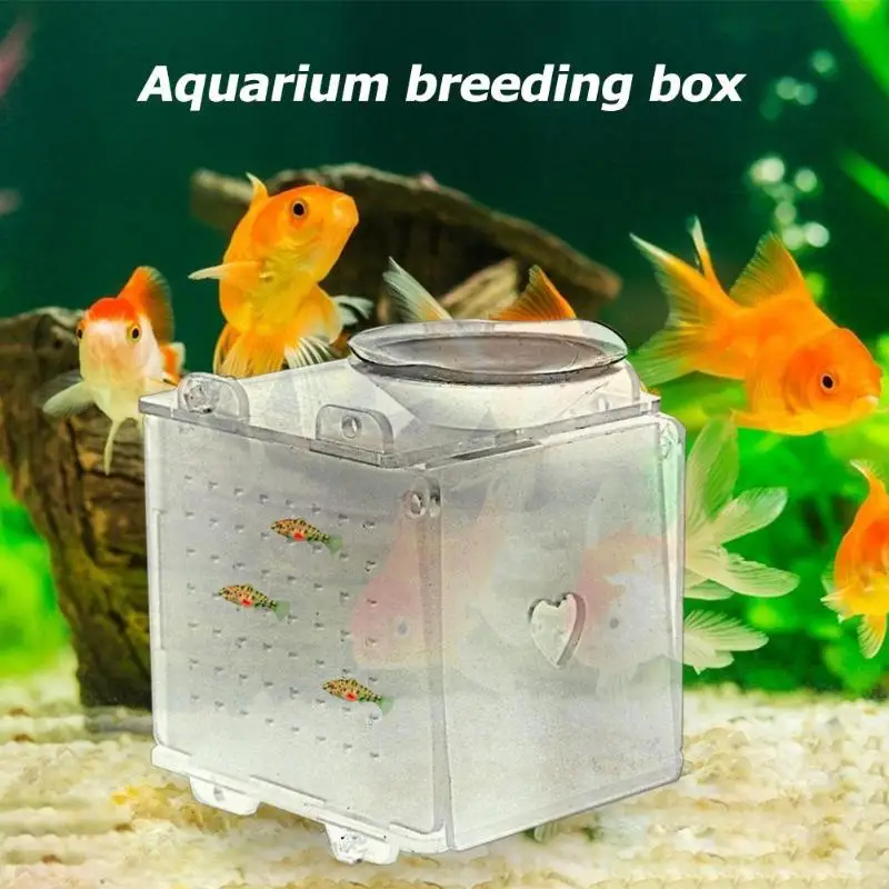 

Acrylic Aquarium Breeding Isolation Box Hatchery Rooms Incubator Reptile Cage Fish Tanks Reptile Incubator with Sucker