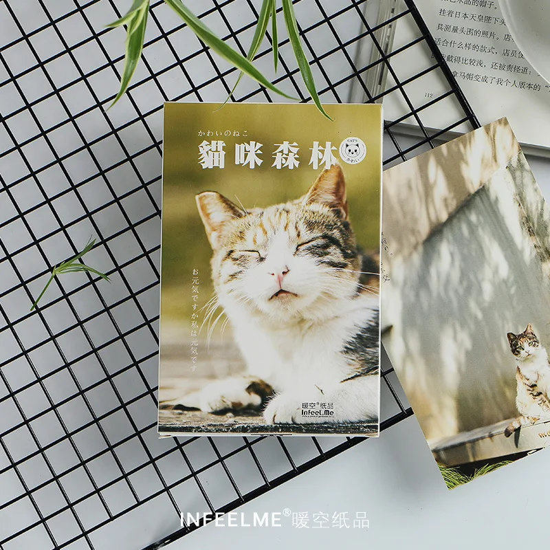 30 листов/набор милый кот и лес открытка поздравительная открытка подарок на день рождения открытка с сообщением
