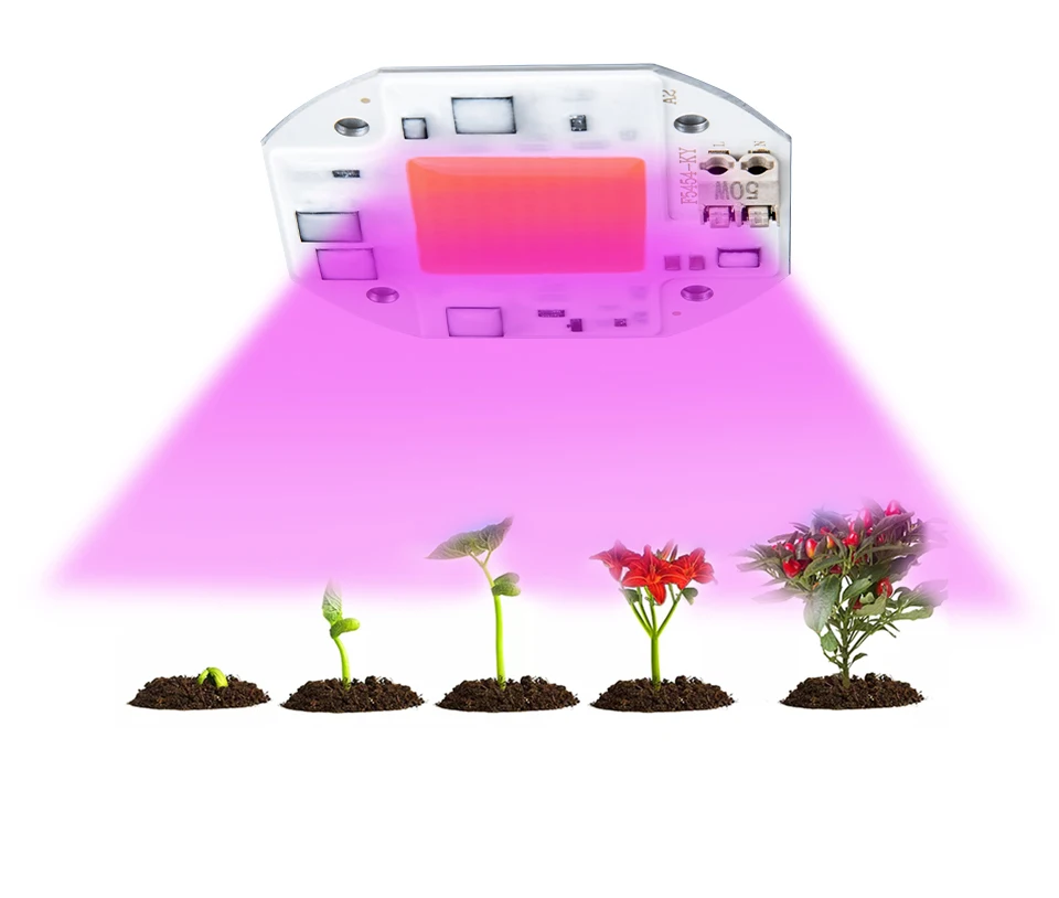 LED Grow Light Full Spectrum COB Chip AC220V 110V 20W 30W 50W DIY Grow LED Lamp For Plant Indoor Garden Hydroponic Grow Tent Box (6)