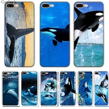 Чехол для телефона Sea World Killer Whales для iPhone 11 Pro X XR XS Max iPhone 6 6s 7 8 Plus 5 5S SE чехлы