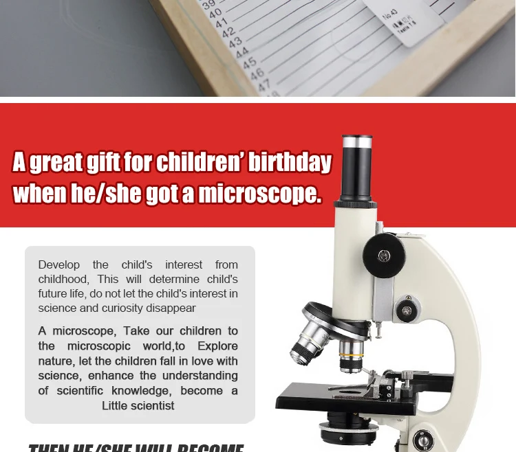 cells Microscope slides (11)
